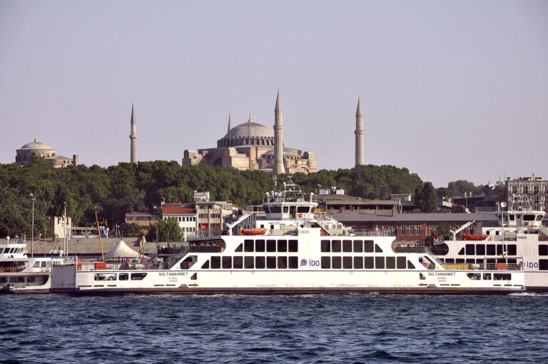 İstanbul Boğazı'nda ilerleyen şehir hatları vapuru