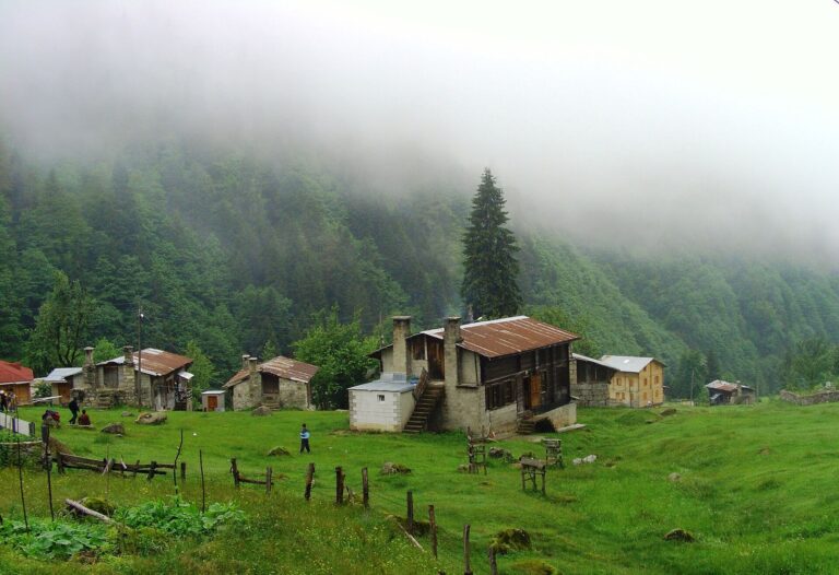 Rize'deki Ayder Yaylası'nın yeşil yamaçları ve evleri