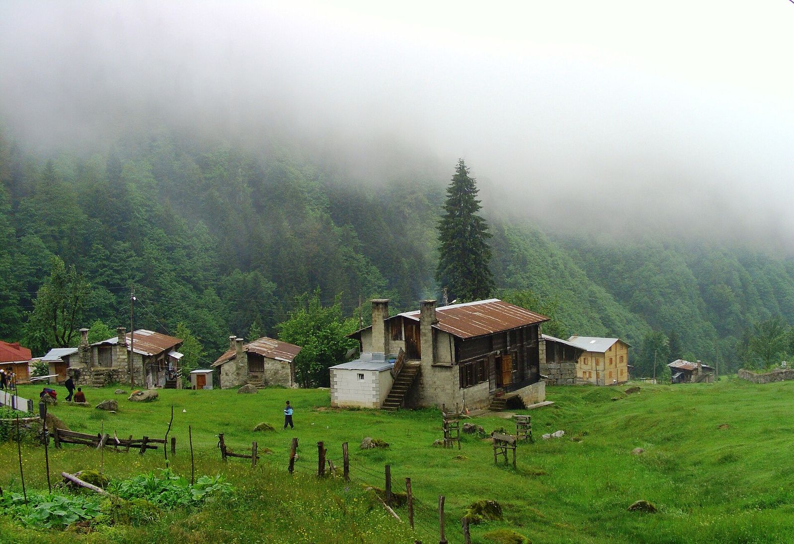 Rize'deki Ayder Yaylası'nın yeşil yamaçları ve evleri