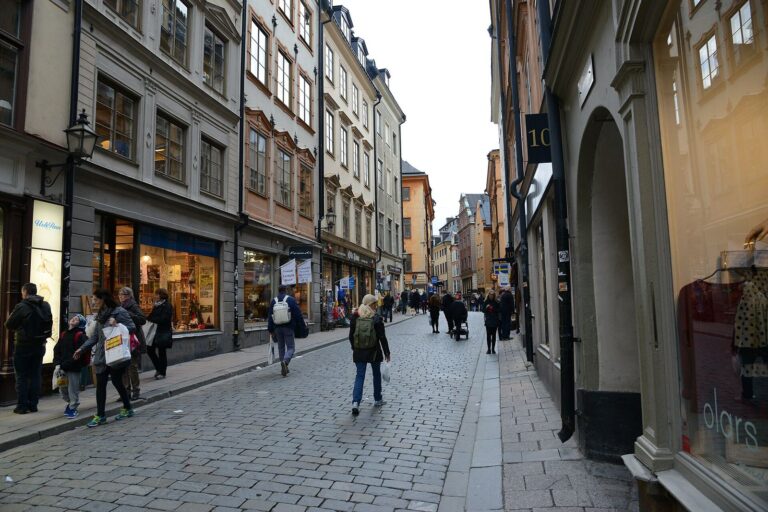 Stockholm şehrinin kıyıdan görünen siluetini gösteren bir fotoğraf